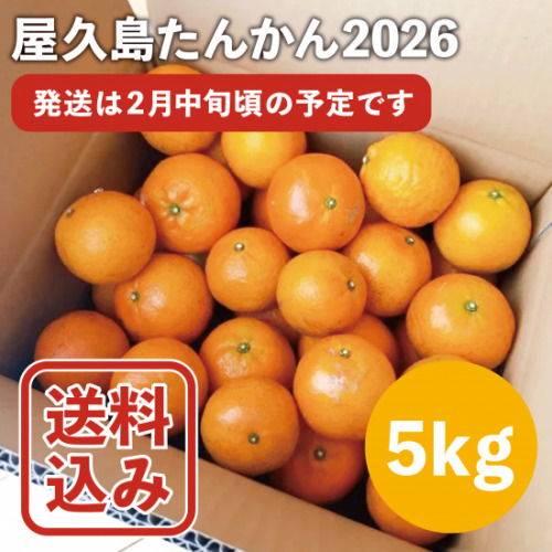 （販売準備中）〈2月中旬より発送予定〉 屋久島たんかん2026 ばらご自宅用 ５kg or 10kg｜ヴィラ・コンコルディアセレクト