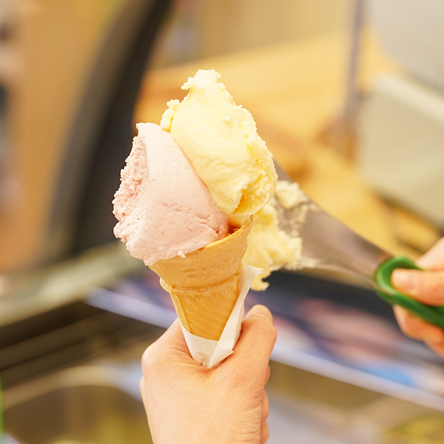 開けるたび季節と出会う 木村屋の特製ジェラートおまかせBOXセット｜プリンセス富士河口湖セレクト