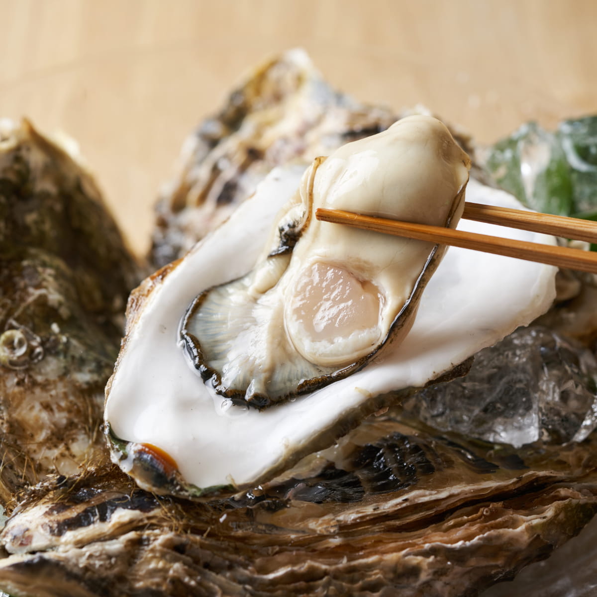 赤穂・坂越産　牡蠣（殻付き）生食用〈今期分終了〉｜ザ グラン リゾート 赤穂