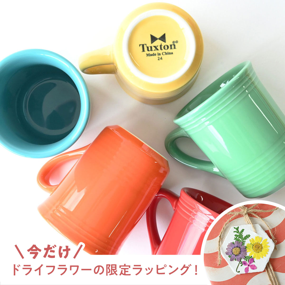 TUXTON Concentrix マグ（5カラー展開）