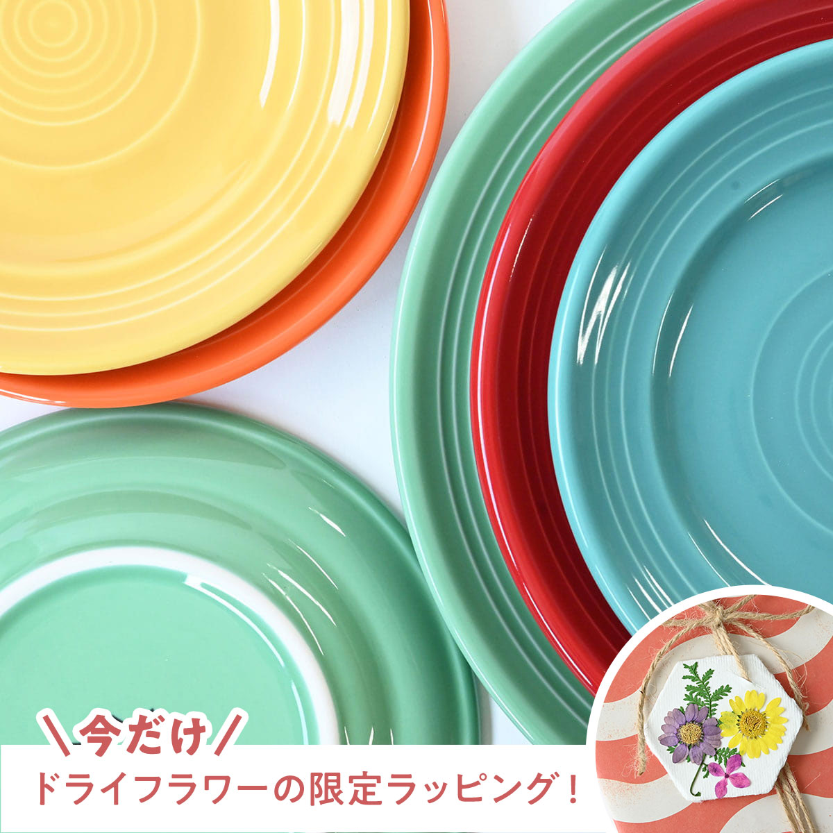 TUXTON Concentrix デザートプレート φ19cm（5カラー展開）