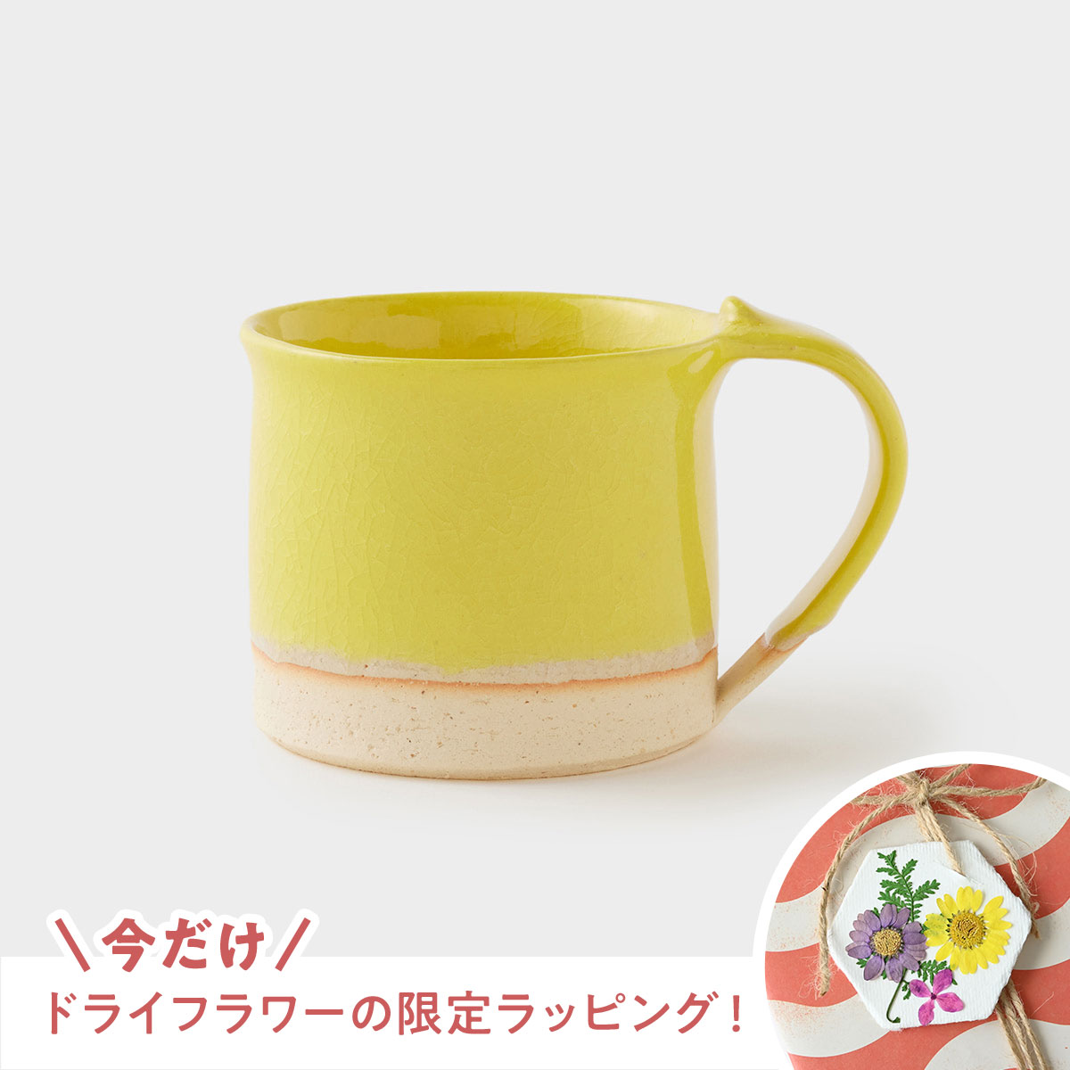 【信楽焼】OMUSUbee CRAZE オムスビー クレイズ マグカップ イエロー