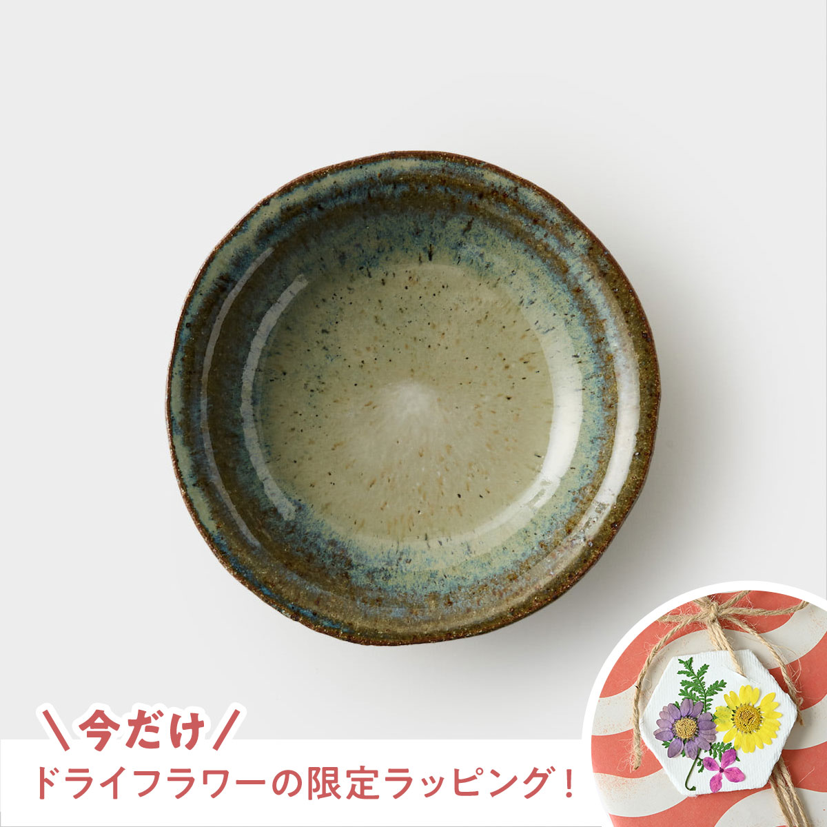 【信楽焼】信楽四季彩陶 －冬至　中深皿　寒雲雀（ふゆひばり） φ20cm