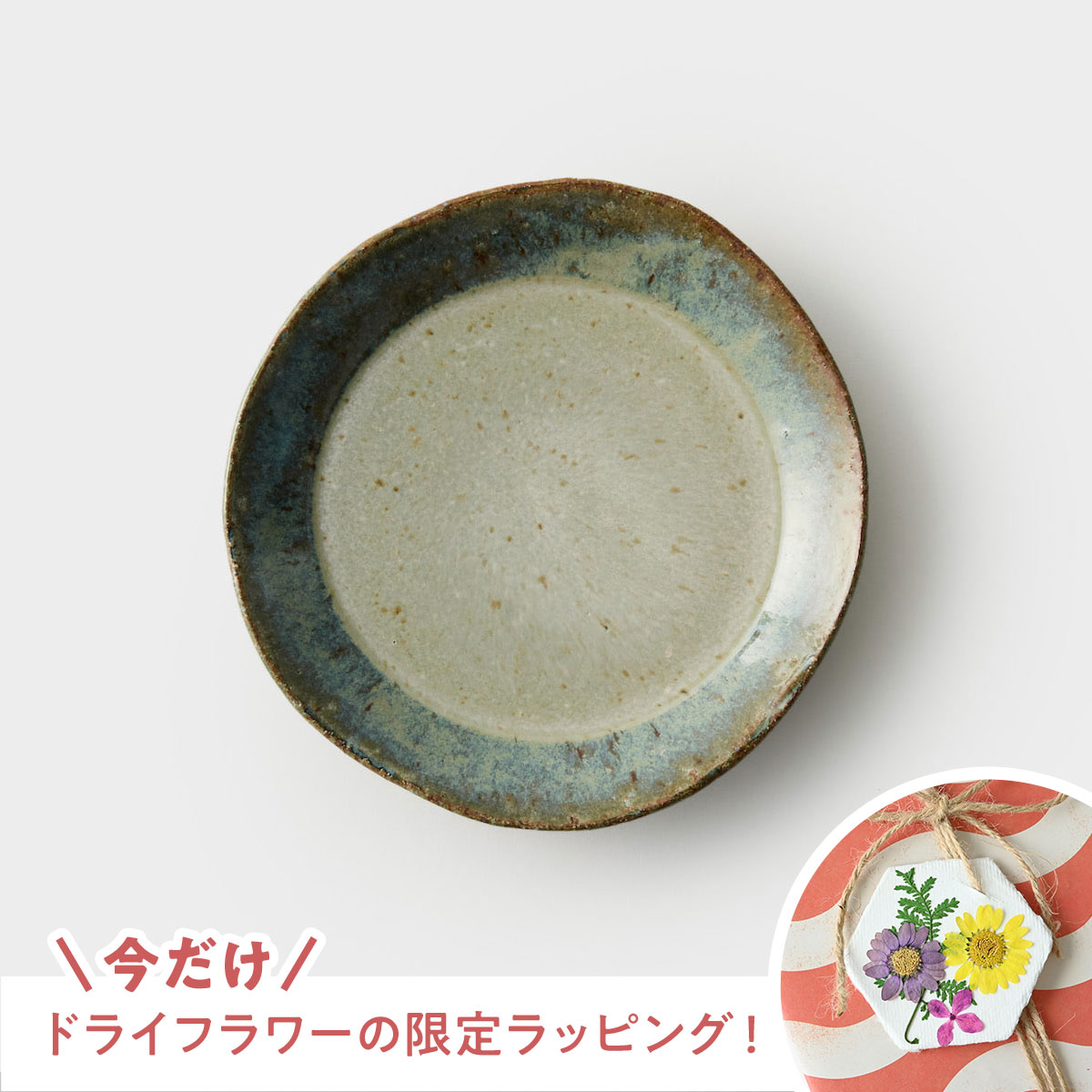 【信楽焼】信楽四季彩陶 －冬至　平皿　寒雲雀（ふゆひばり） φ18.8cm