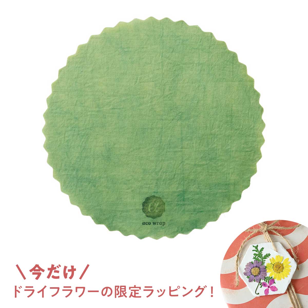 【新生活応援キャンペーン！】HESTA LIFEで整えよう♪新しい季節、新しい暮らしにおすすめ商品pick up＆お得なキャンペーン実施中！