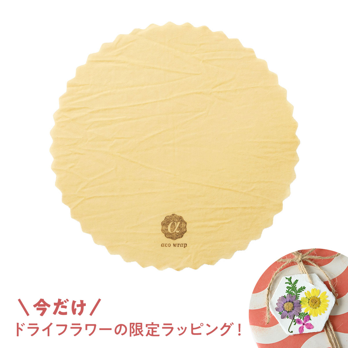 【新生活応援キャンペーン！】HESTA LIFEで整えよう♪新しい季節、新しい暮らしにおすすめ商品pick up＆お得なキャンペーン実施中！