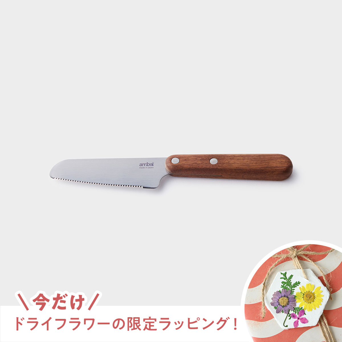 【新生活応援キャンペーン！】HESTA LIFEで整えよう♪新しい季節、新しい暮らしにおすすめ商品pick up＆お得なキャンペーン実施中！