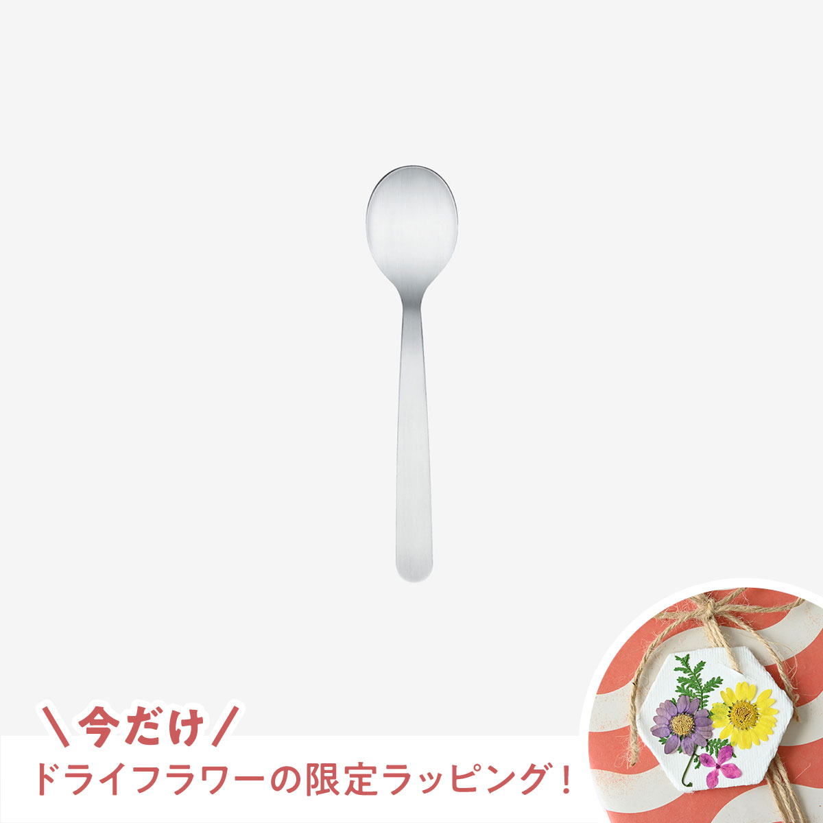 【新生活応援キャンペーン！】HESTA LIFEで整えよう♪新しい季節、新しい暮らしにおすすめ商品pick up＆お得なキャンペーン実施中！