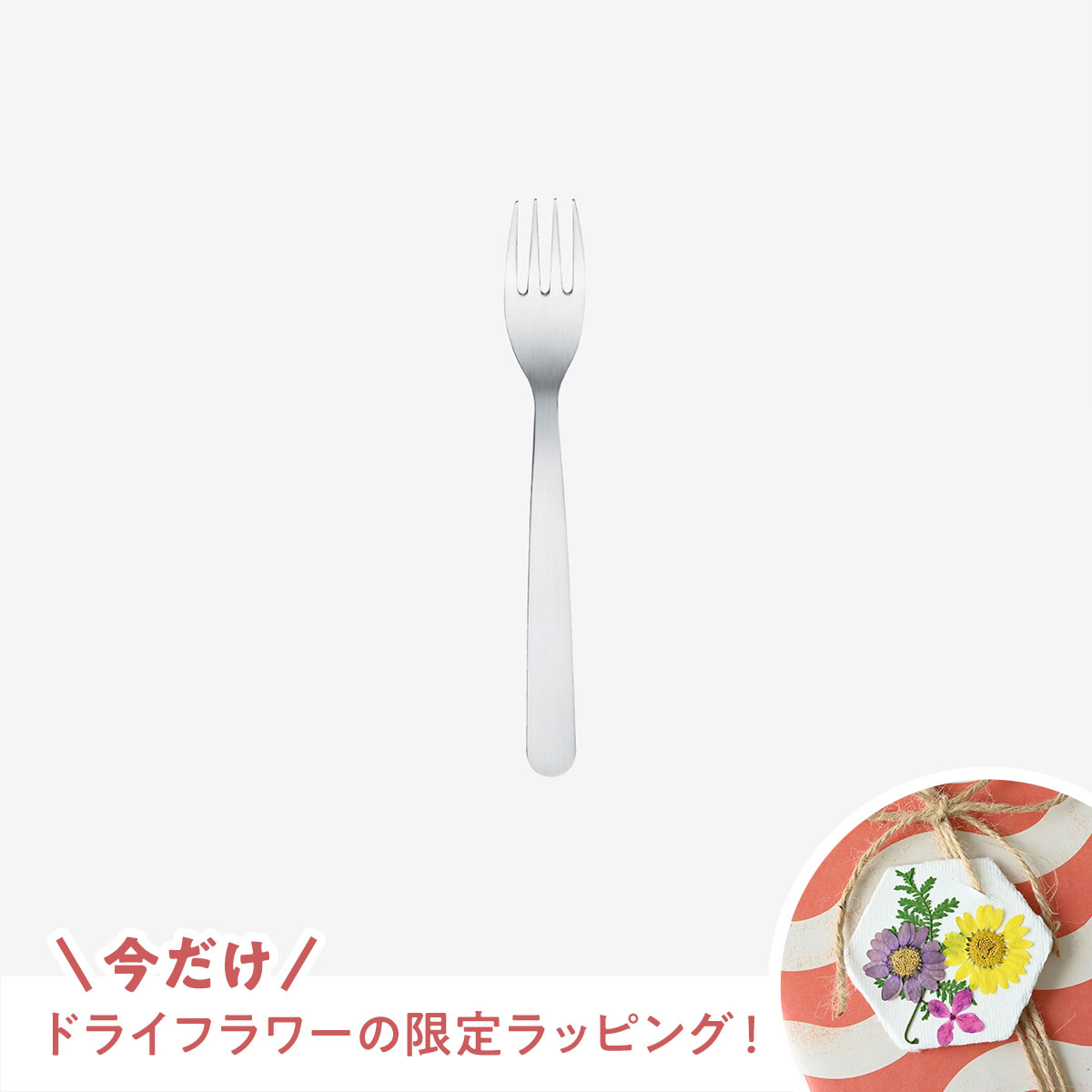 【新生活応援キャンペーン！】HESTA LIFEで整えよう♪新しい季節、新しい暮らしにおすすめ商品pick up＆お得なキャンペーン実施中！