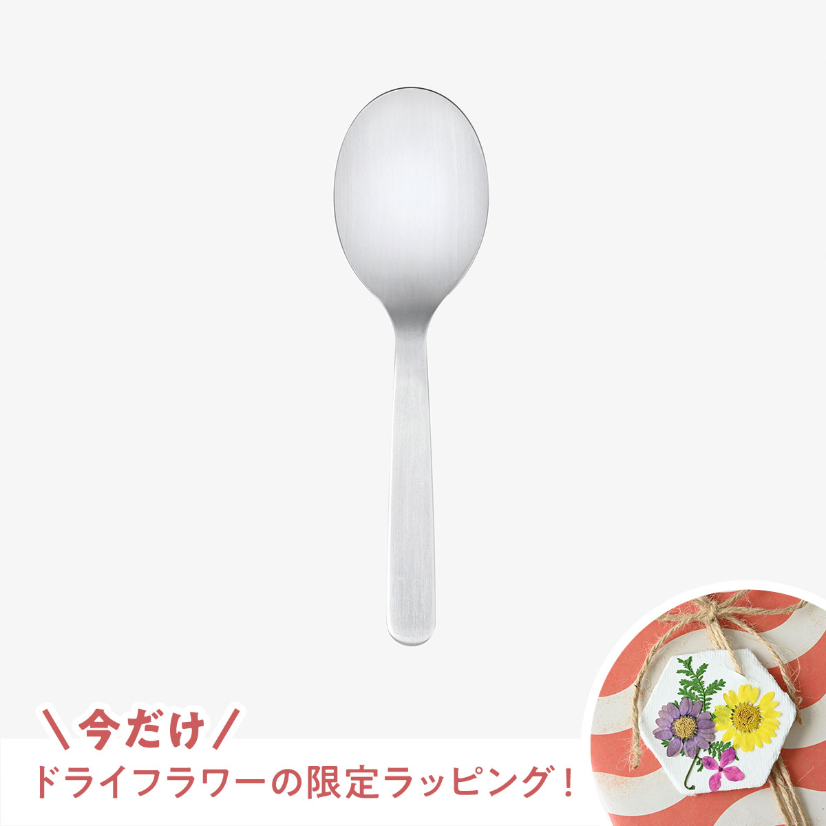 【新生活応援キャンペーン！】HESTA LIFEで整えよう♪新しい季節、新しい暮らしにおすすめ商品pick up＆お得なキャンペーン実施中！