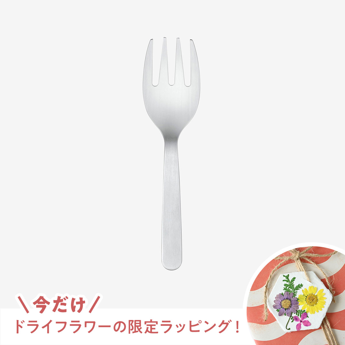 【新生活応援キャンペーン！】HESTA LIFEで整えよう♪新しい季節、新しい暮らしにおすすめ商品pick up＆お得なキャンペーン実施中！