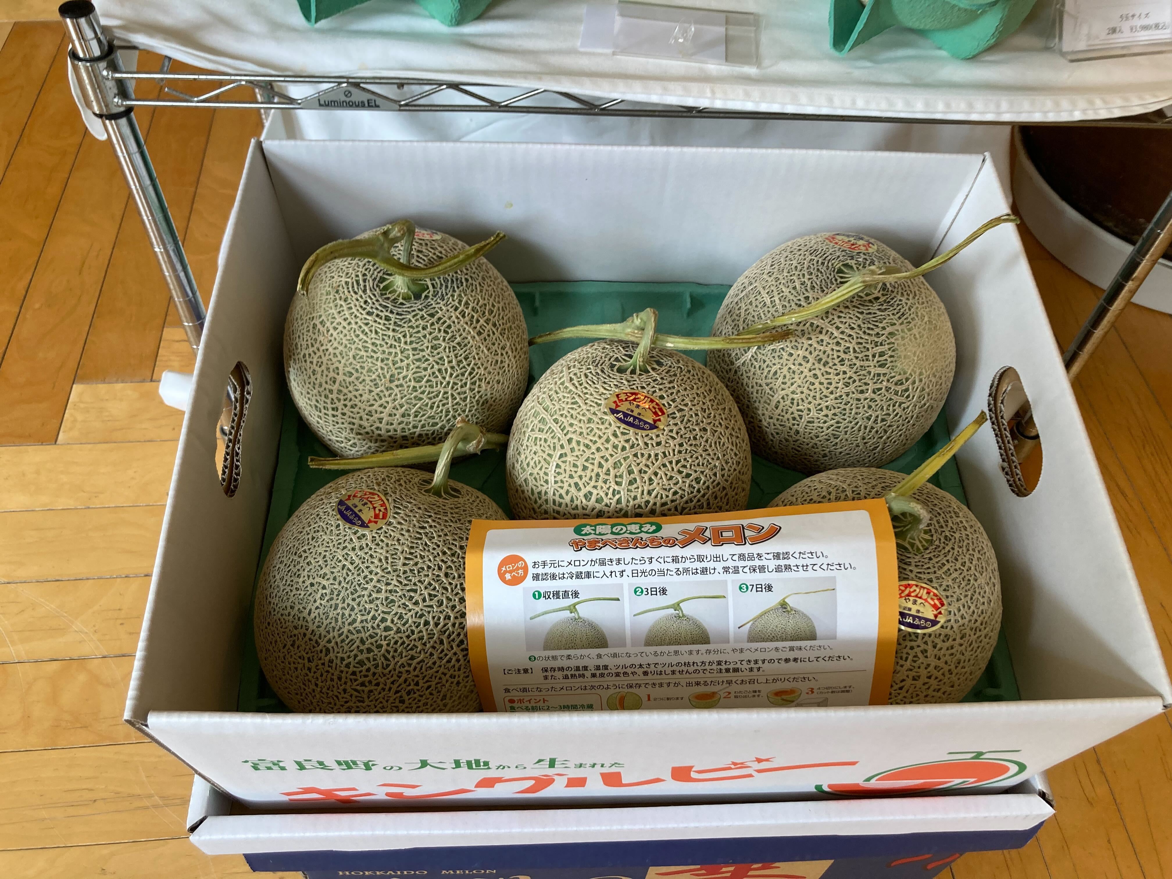 【ヴィラ・コンコルディアセレクト】北海道ふらのメロン〈秀〉5玉