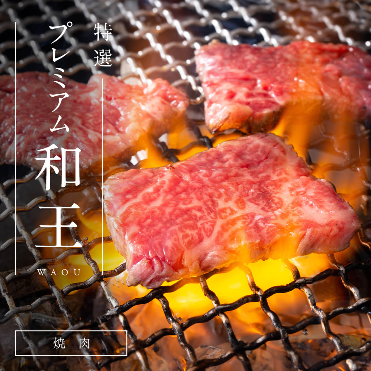 【熊本県産和王】　和王特選 ロース・バラ焼肉 / 500g