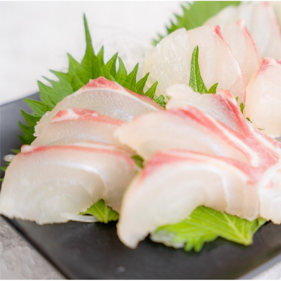 【冬のごちそう便】山崎真鯛(刺身用・半身)約600g お造りセット|近江舞子セレクト