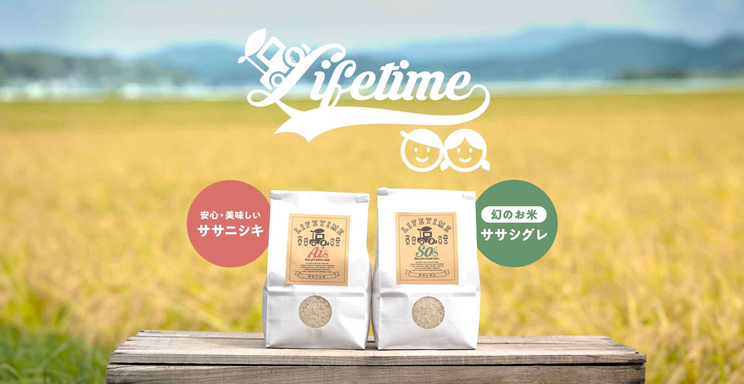 たくさんの手間ひまをかけて育てた LIFETIMEのお米