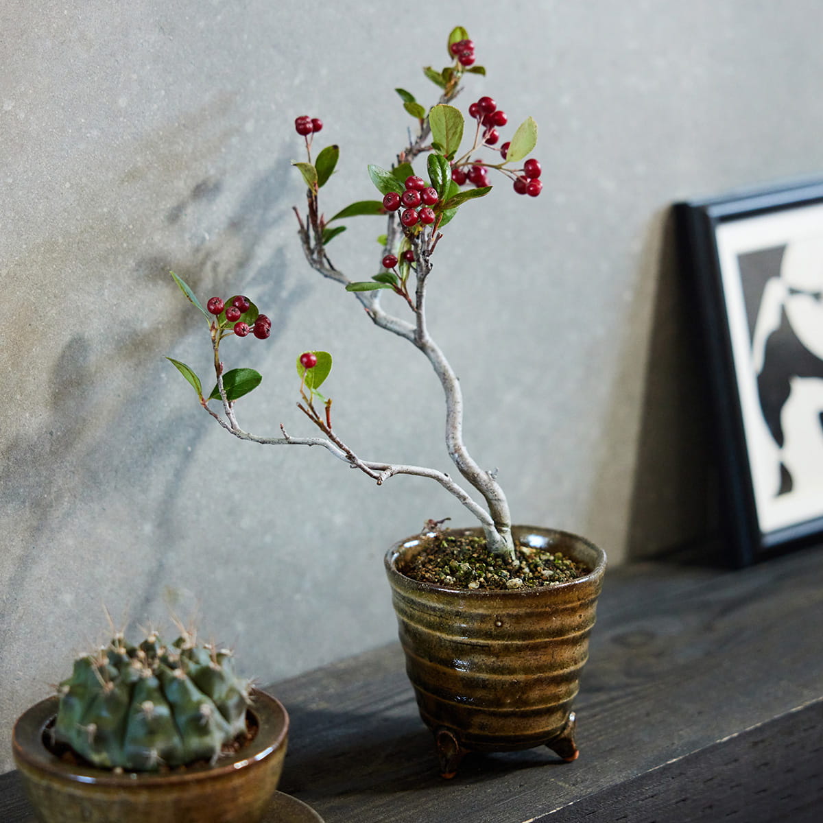 【オリジナル企画】使うたび、心がやわらぐうつわ『ここち - KOKOCHI -』