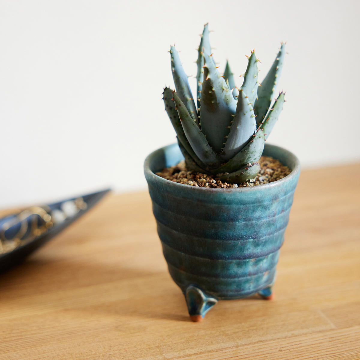 【オリジナル企画】使うたび、心がやわらぐうつわ『ここち - KOKOCHI -』