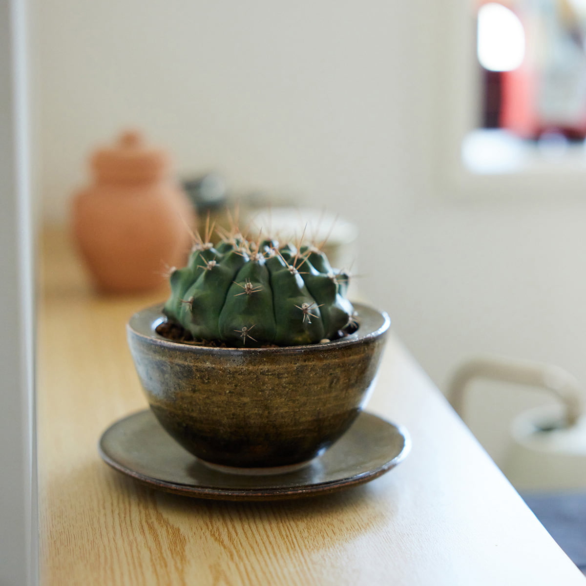 【オリジナル企画】使うたび、心がやわらぐうつわ『ここち - KOKOCHI -』