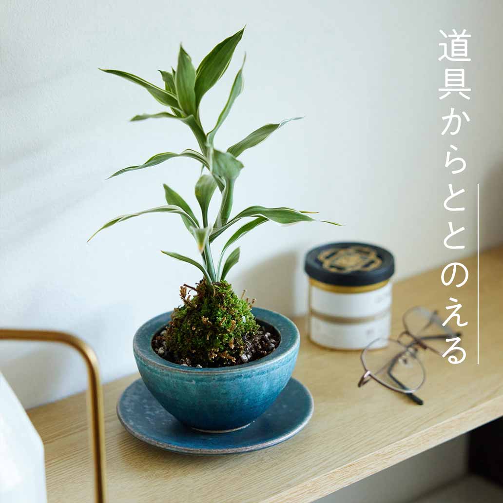 やさしく包むすり鉢型の植木鉢(受皿付き)φ11cm あお雫|ここち - KOKOCHI