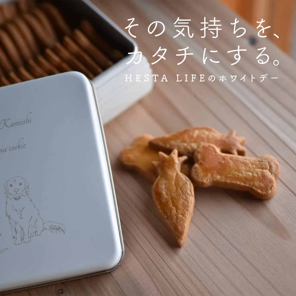 【Kazuma Kaneishi】 素朴なクッキー缶30枚入り