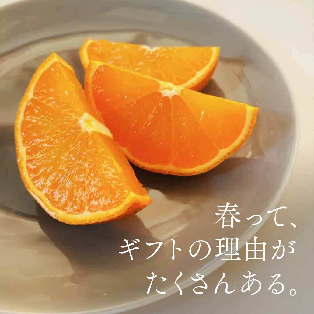 〈2月中旬より発送予定〉屋久島の恵み 濃厚×ジューシーなたんかん（贈答用 5kg）