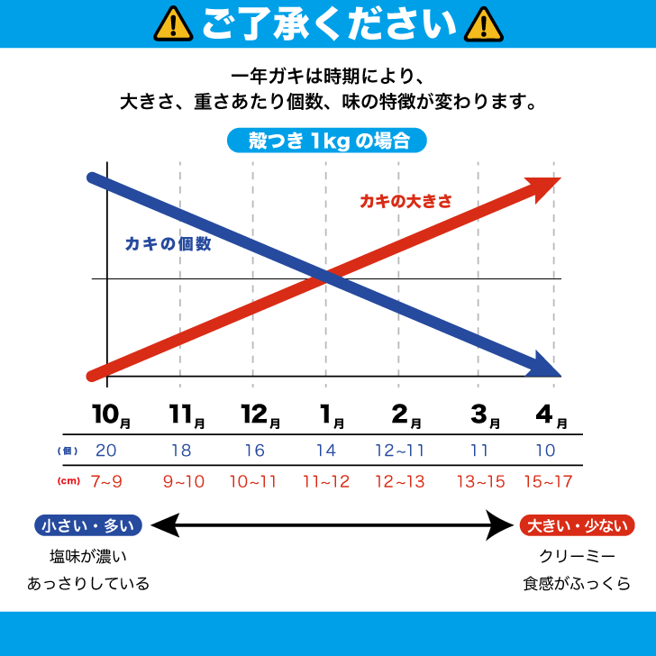 数・大きさグラフ