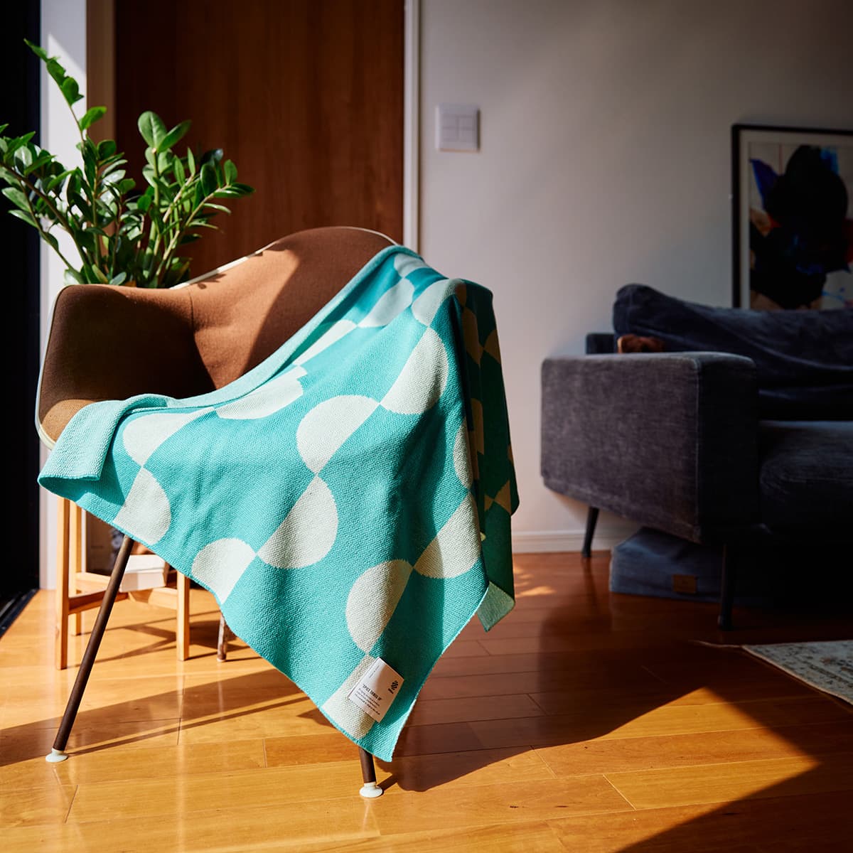 omsb_blanket