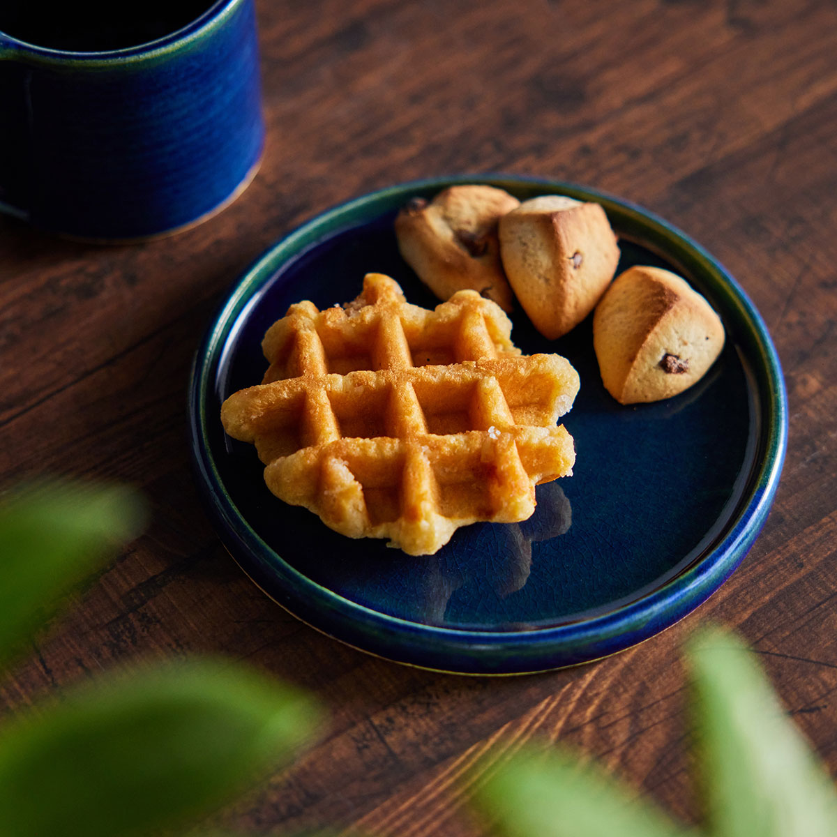 【信楽焼】utsuroi - うつろい - Sprout（スプラウト）切立皿15.5cm