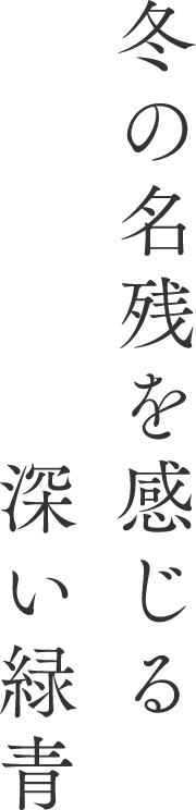 冬の名残を感じる深い緑青