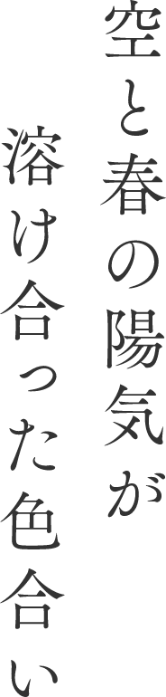 空と春の陽気が溶け合った色合い