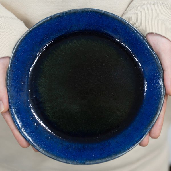 信楽焼】信楽四季彩陶 －小寒 平皿 寒昴 （かんすばる） φ18.8cm