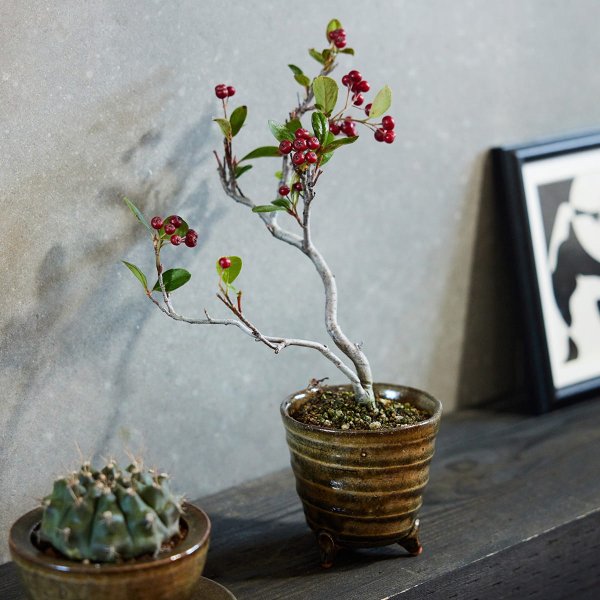 HESTA LIFE store（ヘスタライフストア）